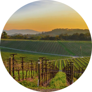 Erica Gonzalez available notary in Napa , CA - 94558