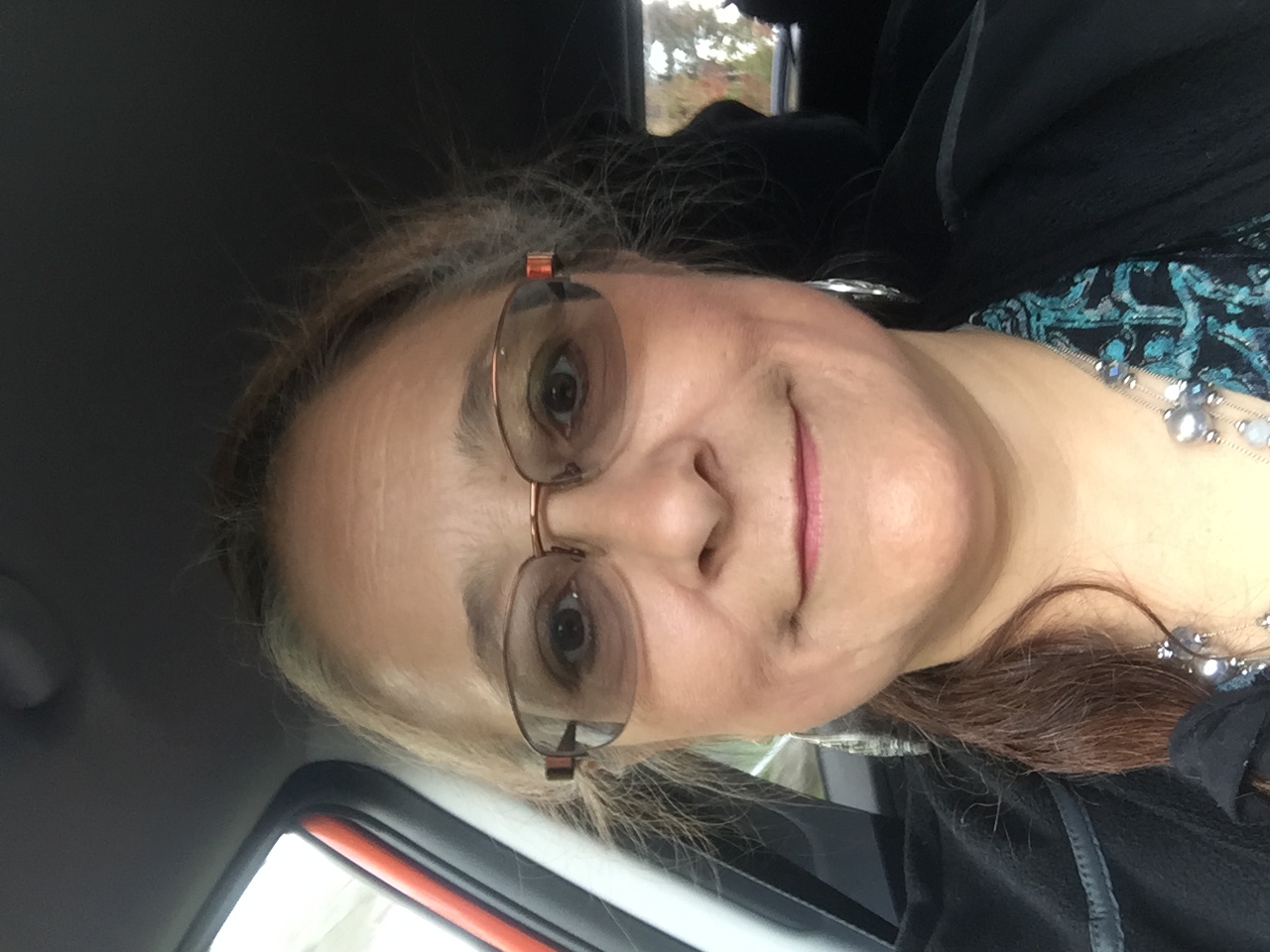 Norma Serafini available notary in Pittsburgh, PA - 15102